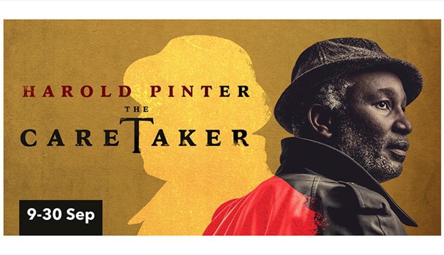 The Caretaker (Bristol Old Vic)